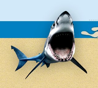 Shark decals - shark murals - Shark Decor   