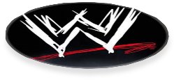 WWE Rug  wrestling logo rug WWE logo rug wrestling home decor  WWE floor rug