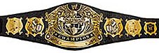 WWE Championship Wrestling Belts are amazing gifts for any wrestling fan. like being a WWE Champion without all the blood, sweat, and body slams!