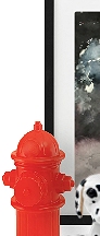 firefighter bedroom decor  fire hydrant decor fire hydrant wall decals 