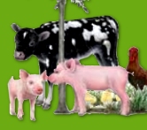 Farm Animals Wall Decals Pig Wall Decals Horse Wall Decals cow  Wall Decals